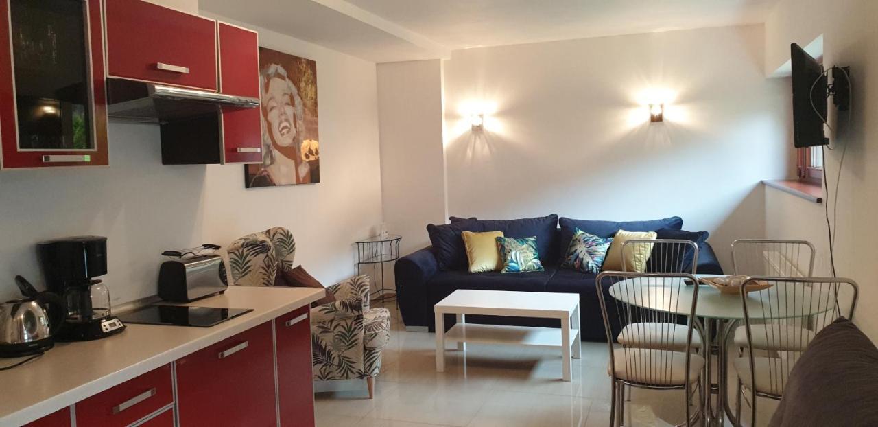 Apartamenty Wisełka Extérieur photo