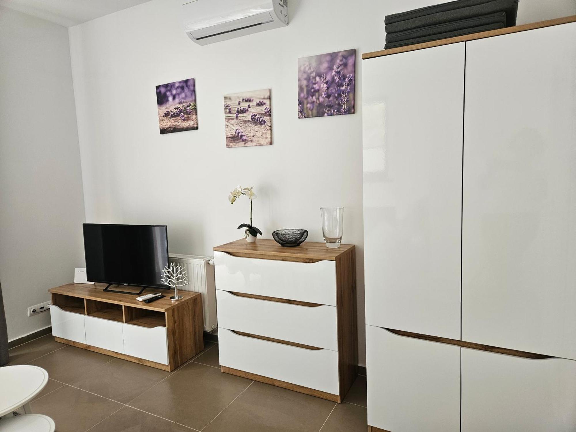 Apartamenty Wisełka Extérieur photo